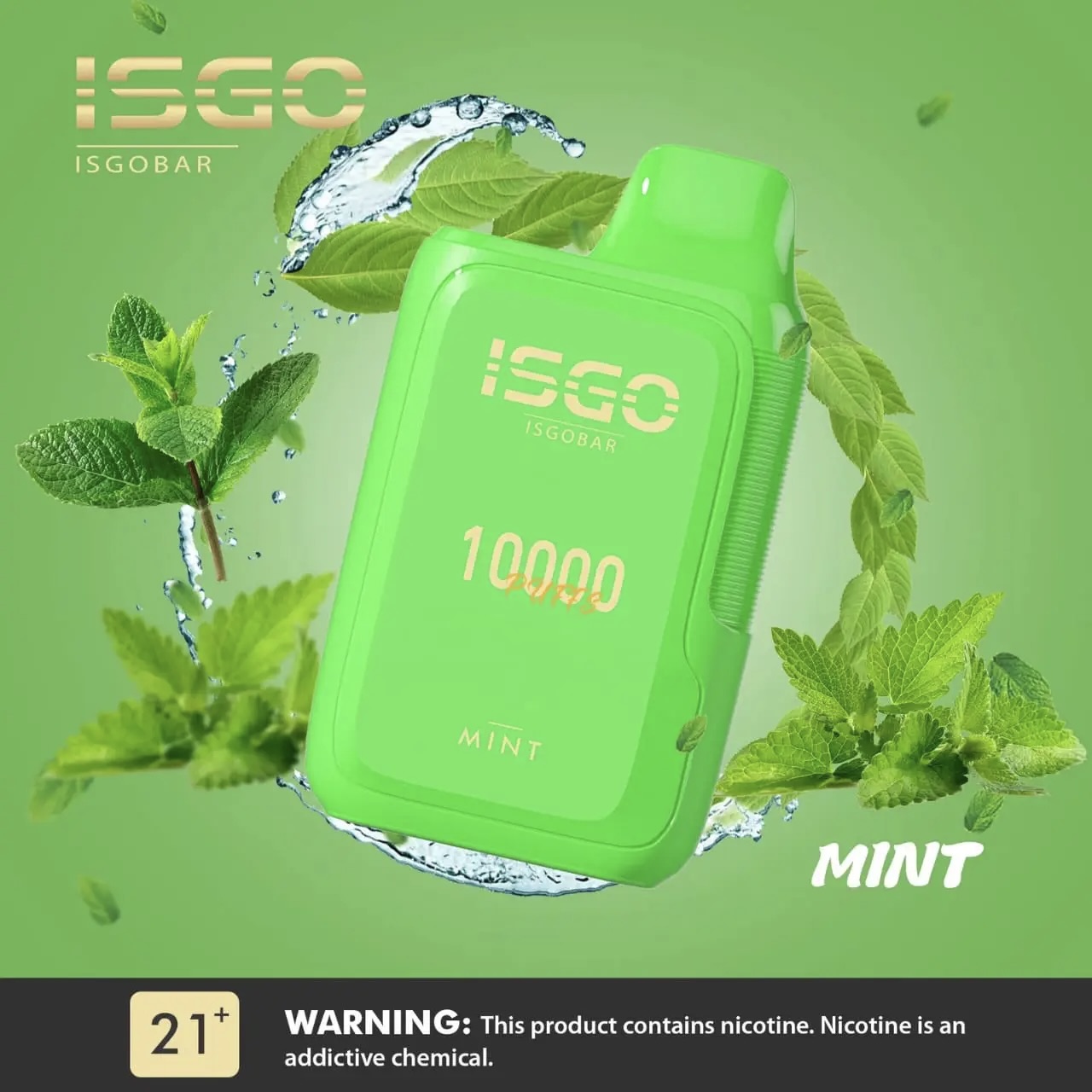 Isgo-Bar-10000-Puffs-Disposable-Vape-Mint.jpeg